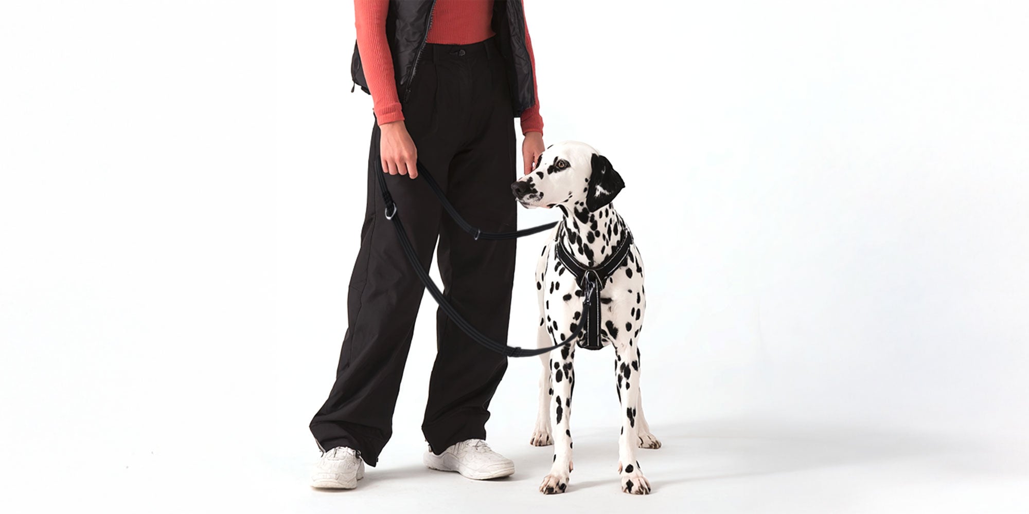 Double Ended Dog Leashes: The Complete Guide
