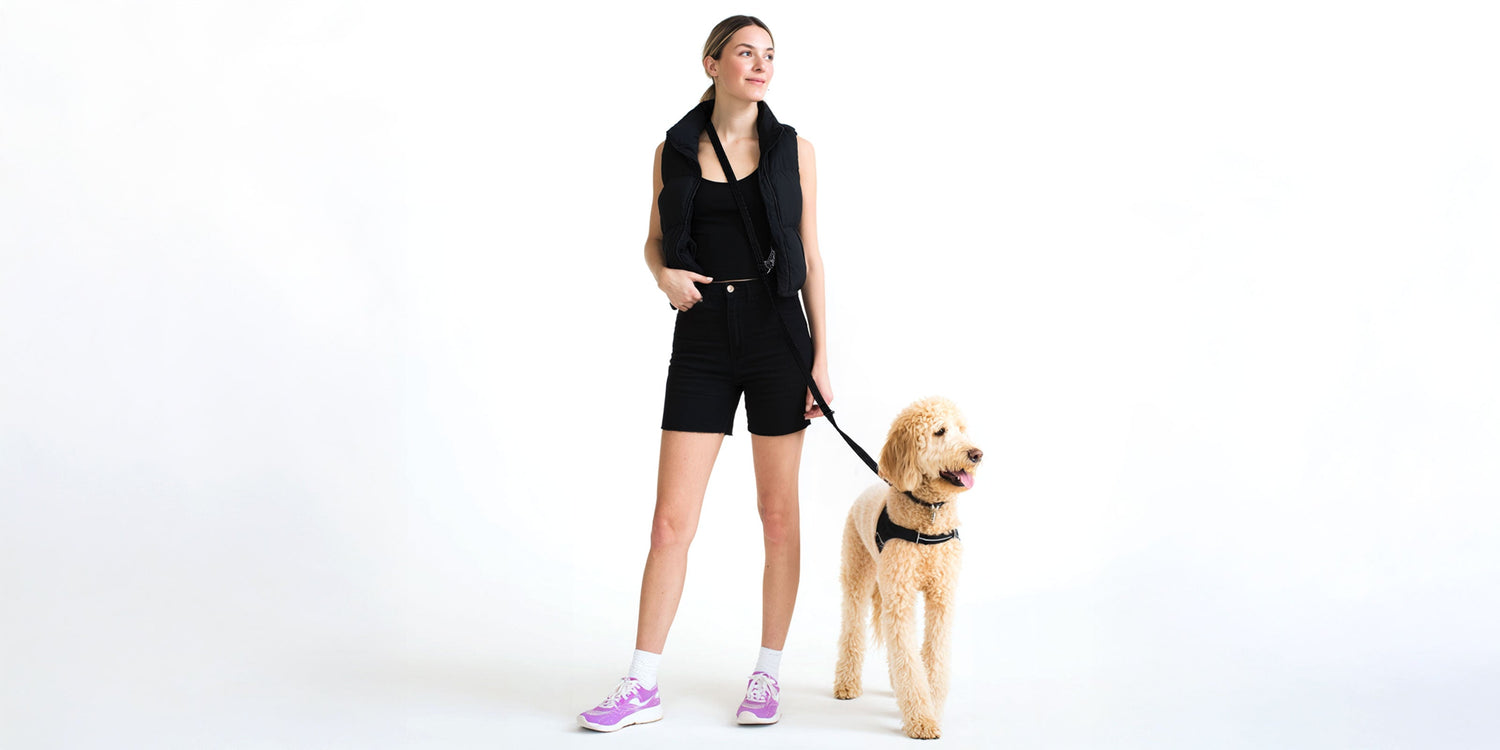 Multifunctional Dog Leashes: The Complete Guide