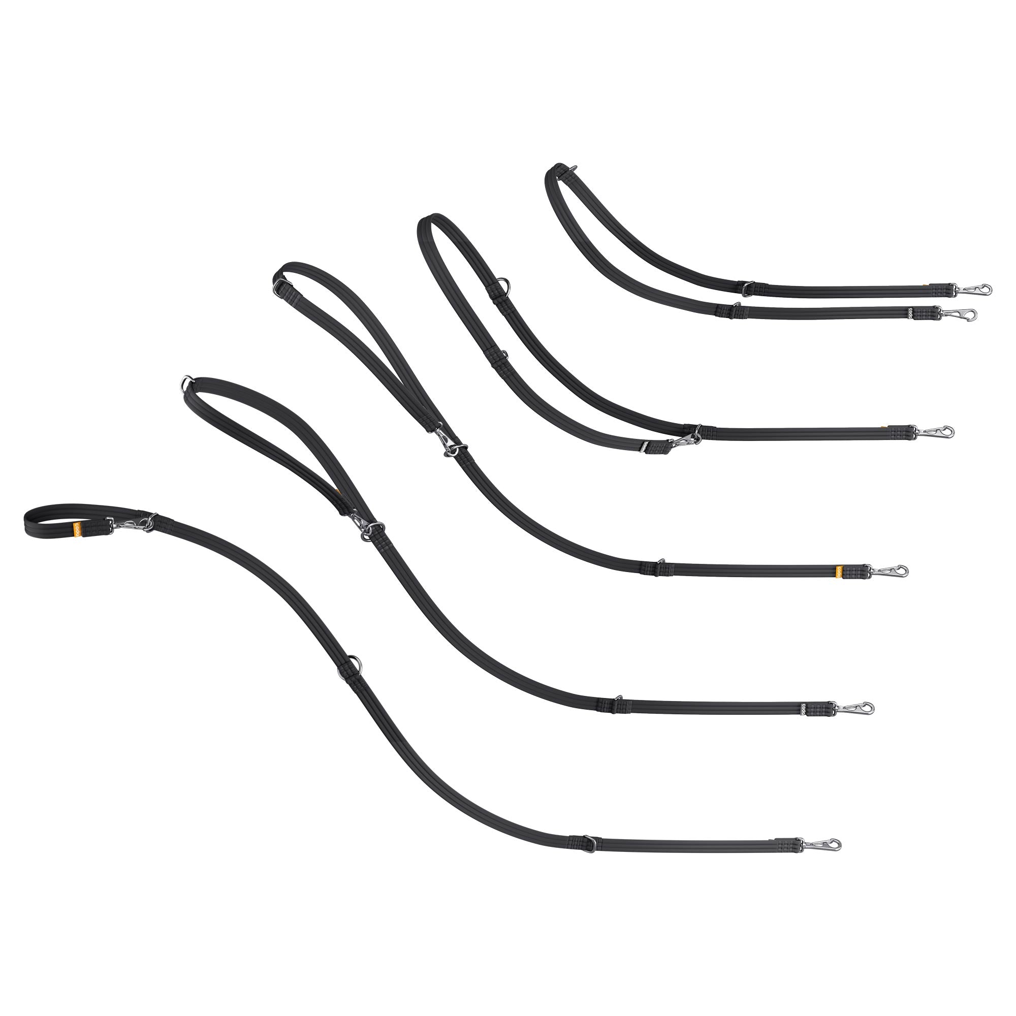 Adjustable dog leash in an array of length options on a white background