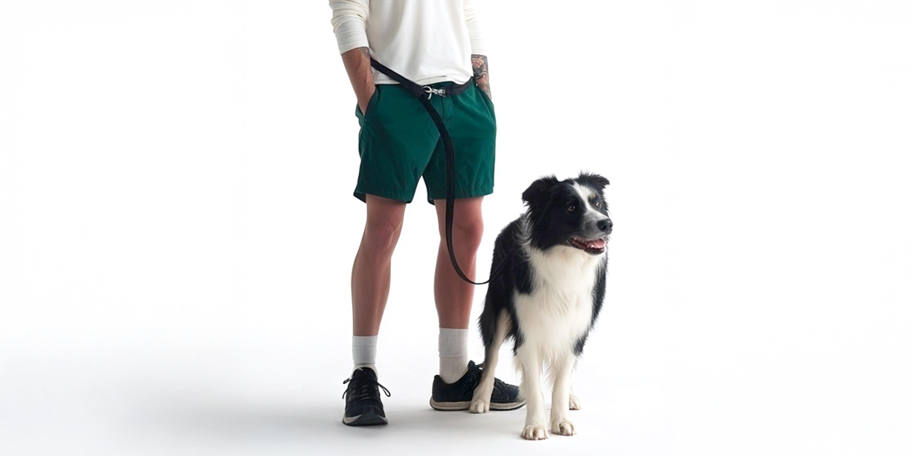 Minimalist studio shot on white background. A man in green shorts and white shirt uses a black hands-free dog leash around his waist. A black and white Border Collie stands beside him. High-key lighting, sharp textures, and soft grounding shadows.