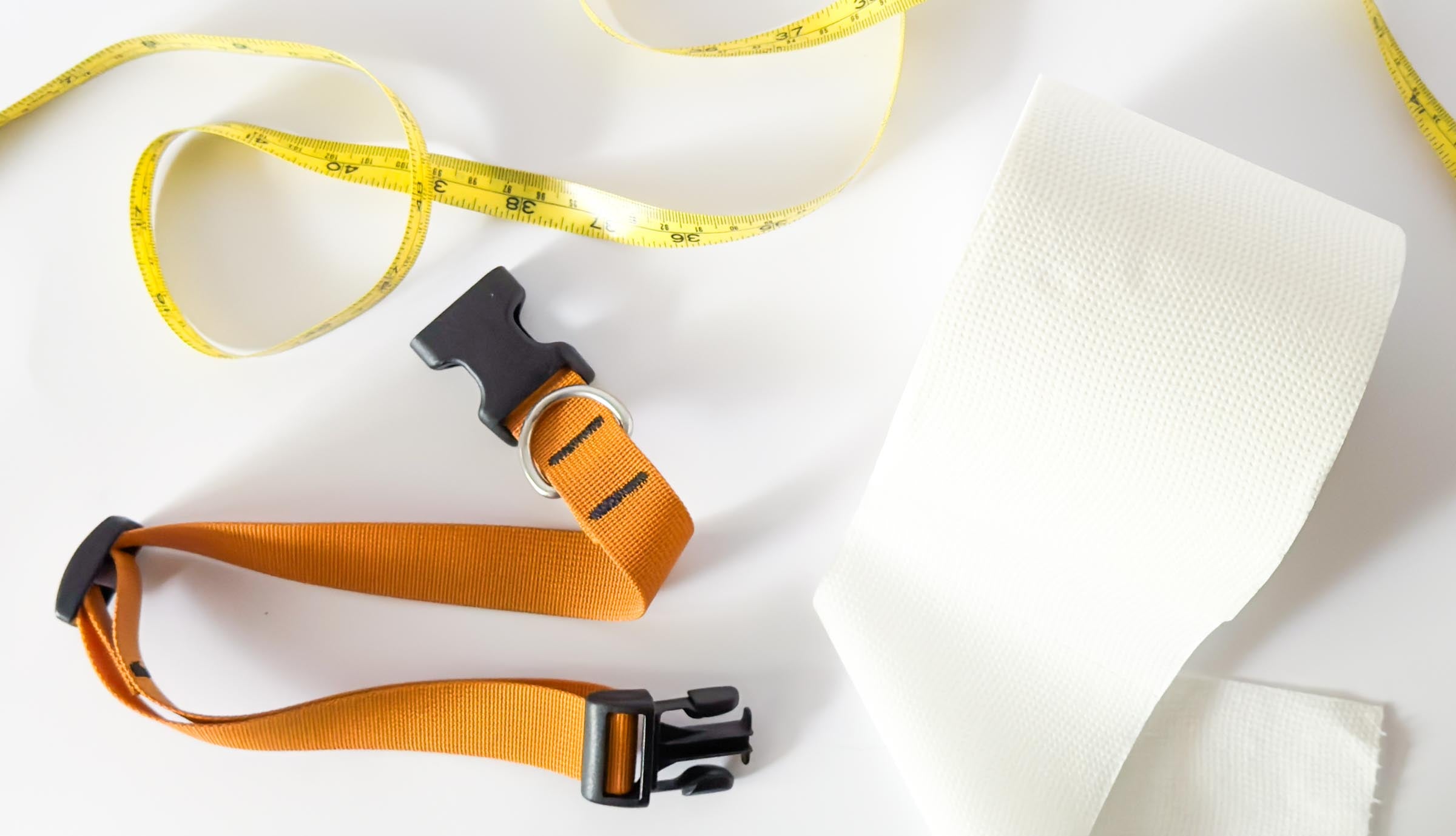 Dog collar, measuring tape and toilet paper for DIY measuring