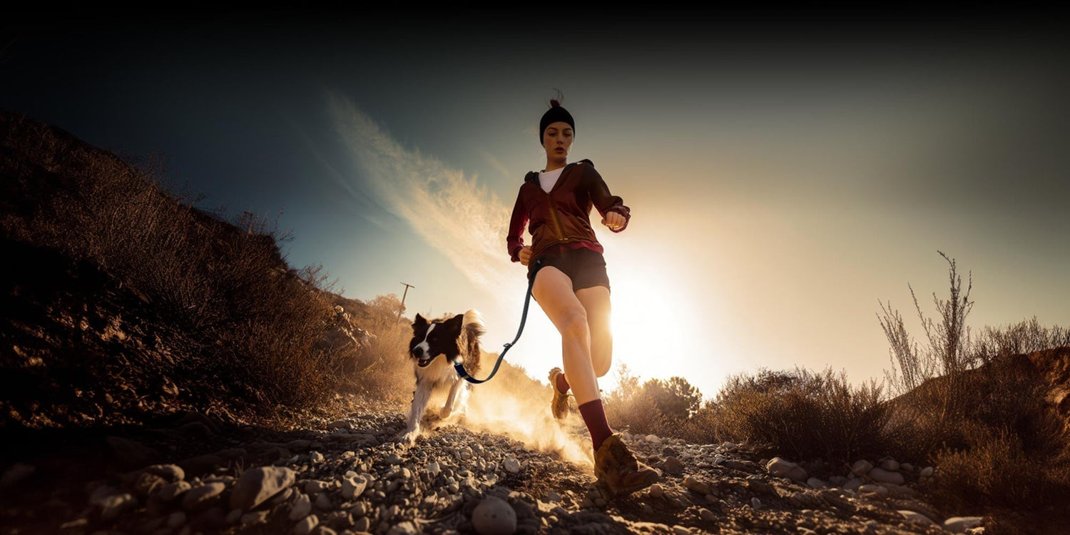 Cinematic golden hour silhouette of a female runner and Border Collie on a gravel trail. Low-angle shot with intense rim lighting and a black hands-free running dog leash. Dusty, rocky terrain against moody dark hills.