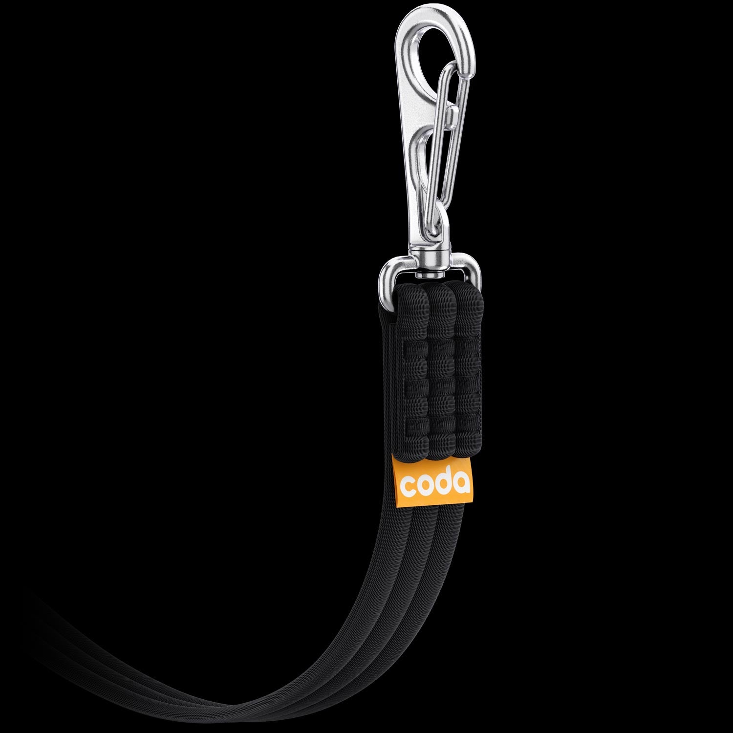 Black dog leash with a stainless steel clip on a black background