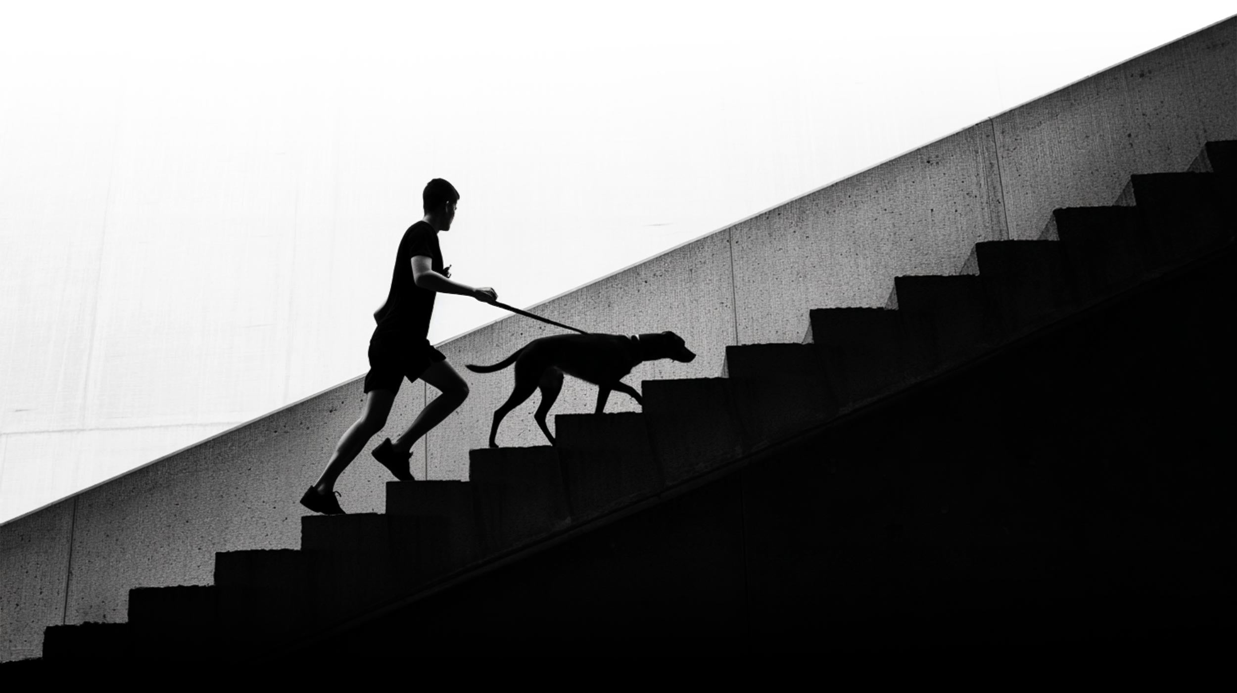 Silhouette of a person walking a dog on a staircase