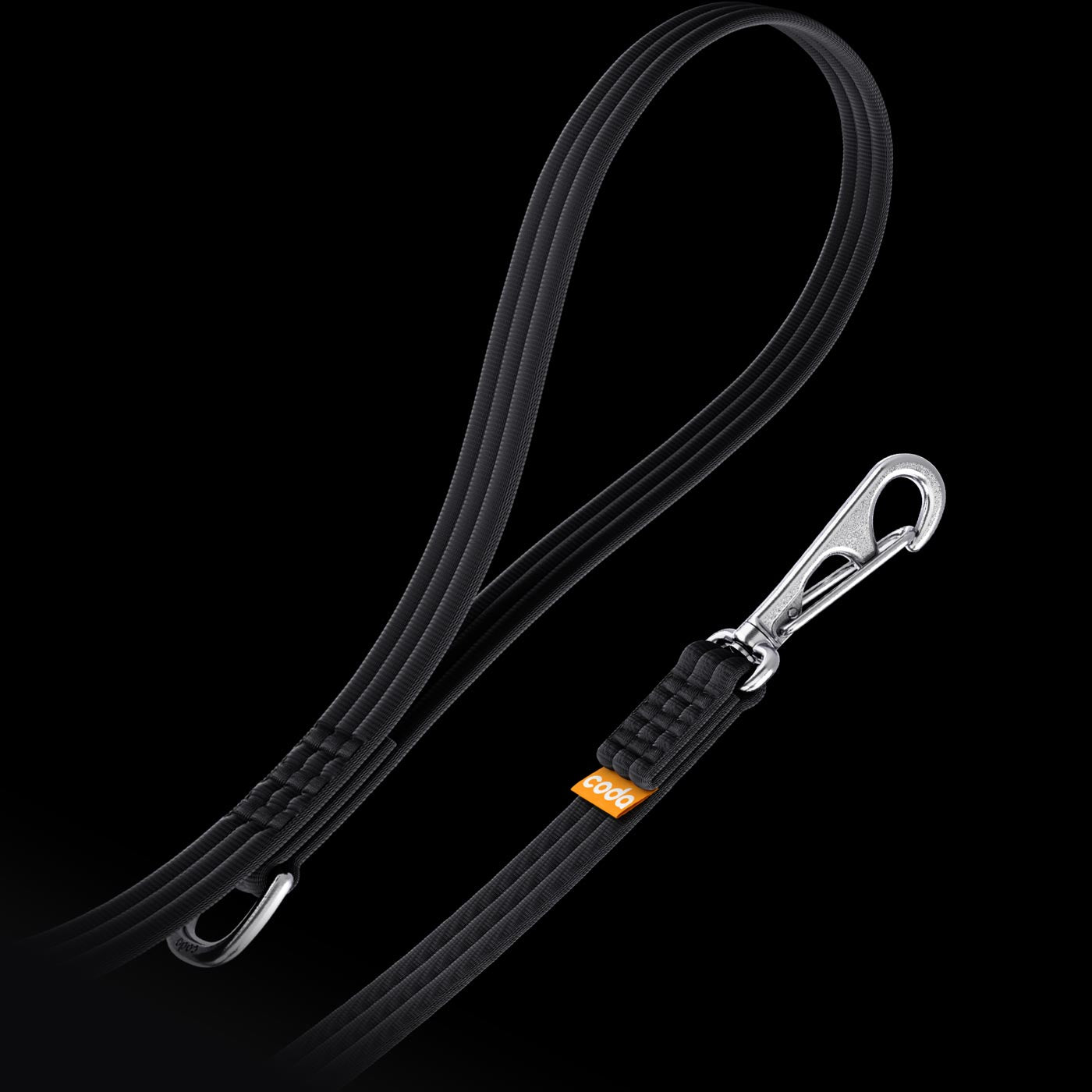 Black dog leash with stainless steel clip on a black background