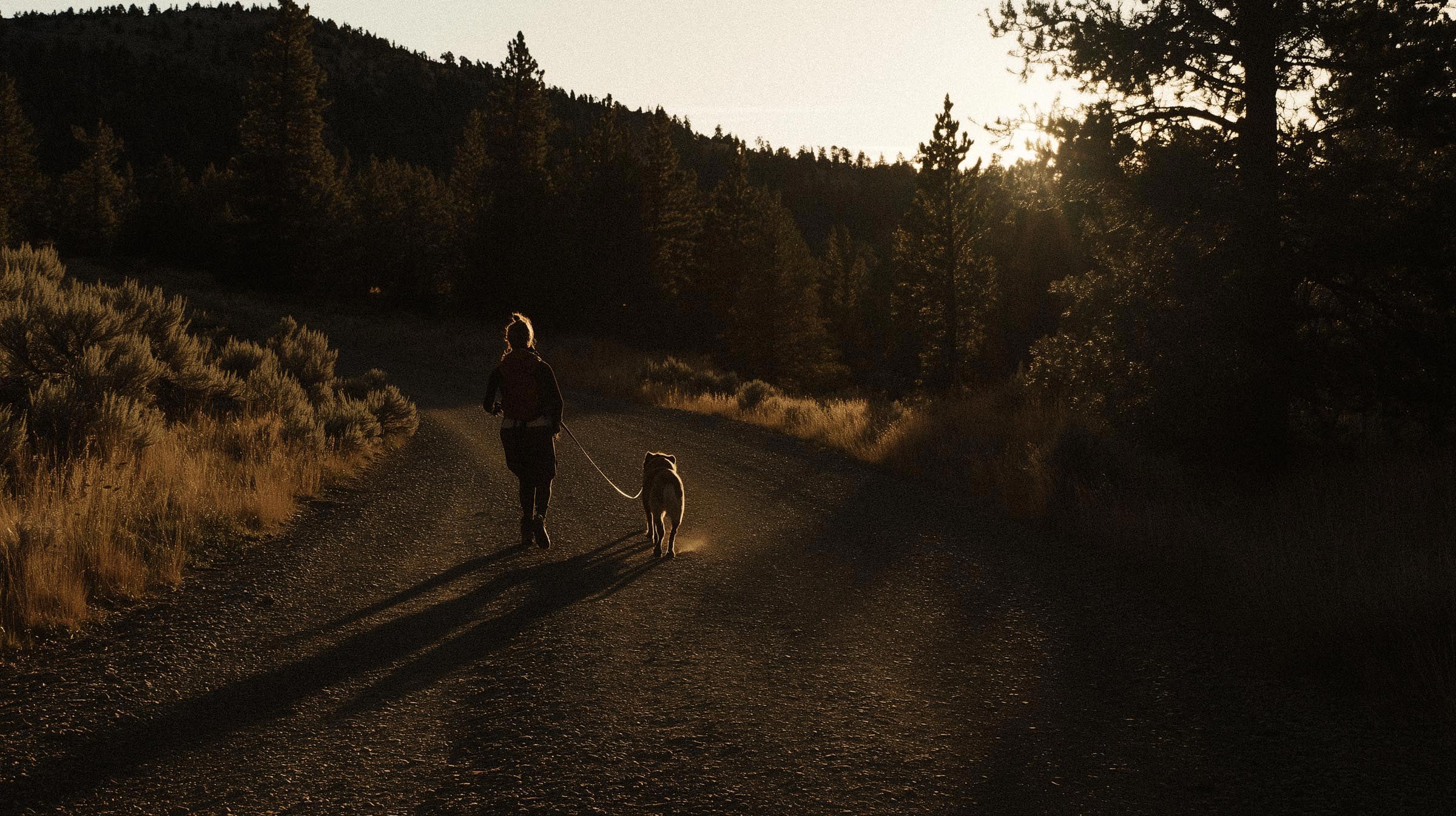 Person walking a dog on a dirt path in a forest during sunset.